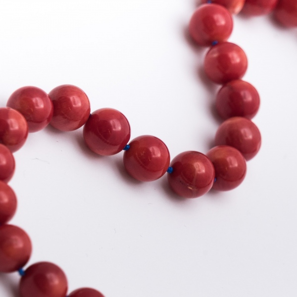 Silver Rose Red Coral Strand closeup picture